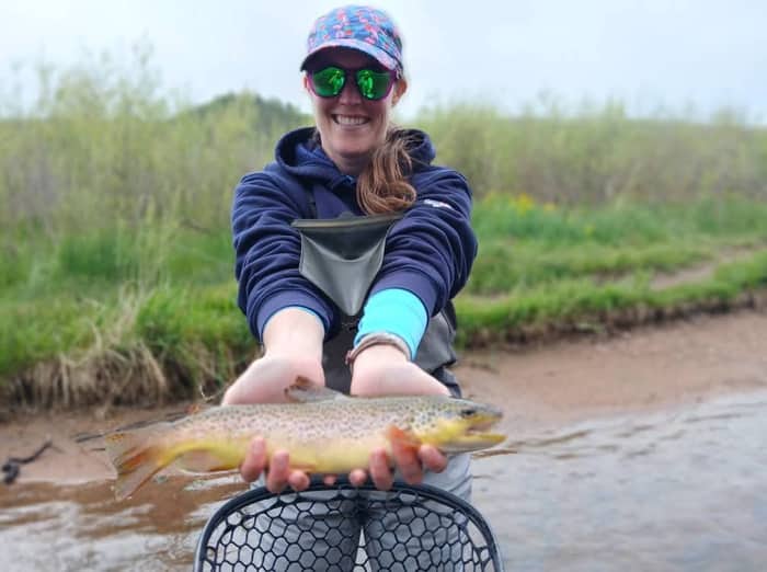 Angler holding a brown trout on a meadow stream