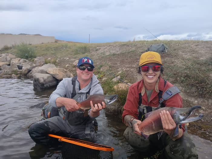 Two anglers kneeling in the shallows holding kokanee salmon